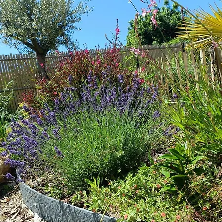 Apb Locations Avec Jacuzzi Privatif 別荘 *